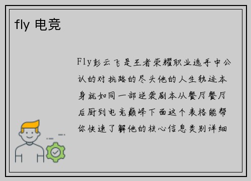 fly 电竞